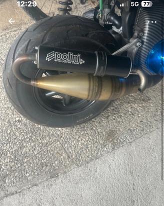 marmitta polini scooter team 4 130 (trattabi