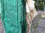 Immagine 4