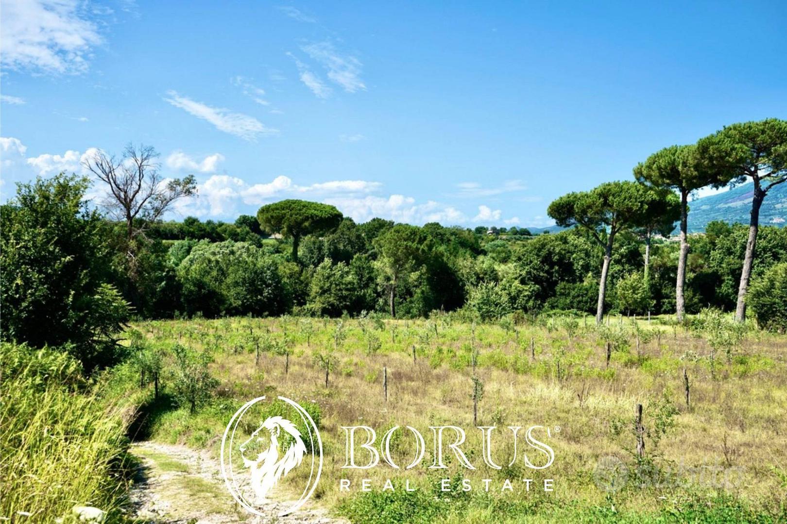 Terreno Agricolo - Sessa Aurunca - Vista 4