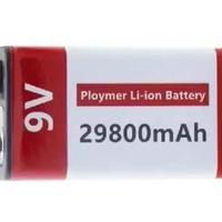 Batteria ricaricabile 9V da 29800 mAh