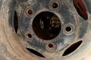 Pneumatici ziarelli + cerchi