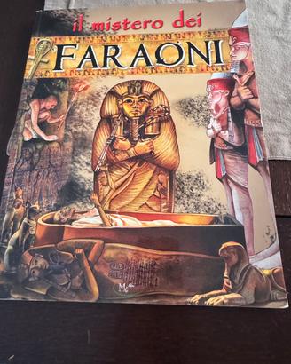 Libro il mistero dei faraoni