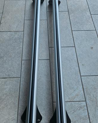 Barre portatutto Green Valley 957