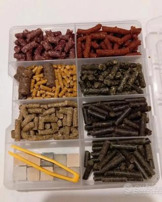 Kit di pellet per lumache e gamberetti d'acquario 