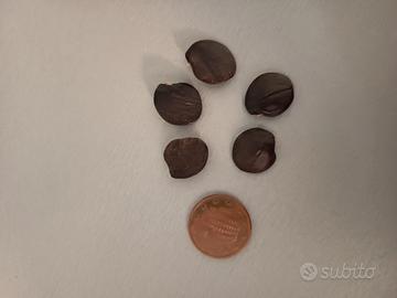 semi pianta glicine lilla