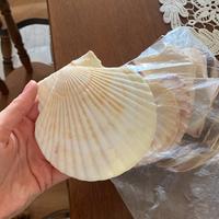 Conchiglie finte per aperitivo di pesce o arredo