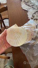 Conchiglie finte per aperitivo di pesce o arredo