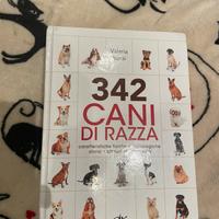 342 cani di razza di Valeria Rossi