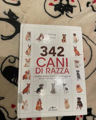 342 cani di razza di Valeria Rossi