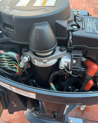 Yamaha 9.9 nuovissimo