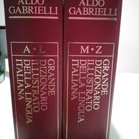 Grande Dizionario della lingua italiana  vintage