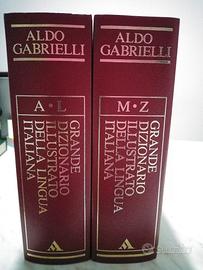 Grande Dizionario della lingua italiana  vintage