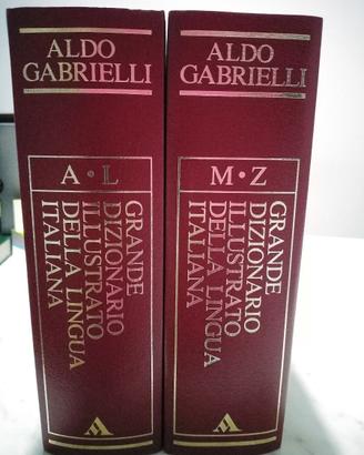 Grande Dizionario della lingua italiana  vintage