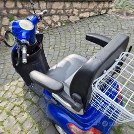 Scooter Elettrico a 3 ruote