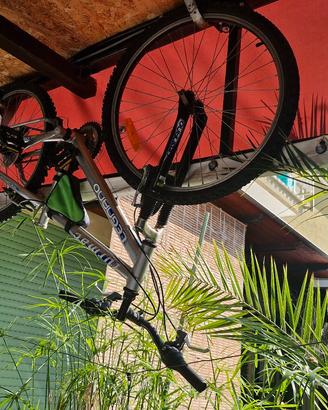 Mountain bike Legnano