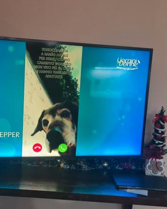 tv 43'  samsung