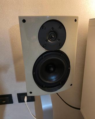 Diffusori Naim N-sats -coppia