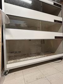 Teca rack terrario rettili
