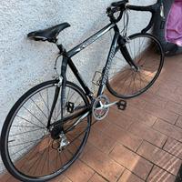 BICI DA CORSA TORPADO LA LEGGENDA ITALIANA