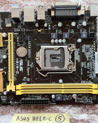 Scheda madre 1150 Asus H81M-C