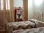 Immagine 3