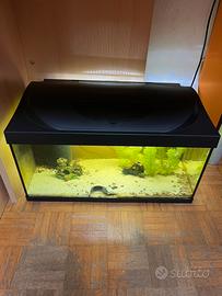 Acquario Tetra 40 Litri Con Accessori e Pesci