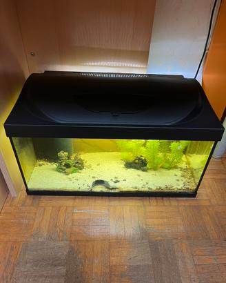 Acquario Tetra 40 Litri Con Accessori e Pesci