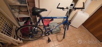 Bici da uomo