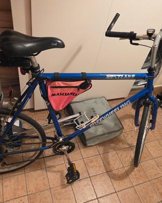Bici da uomo