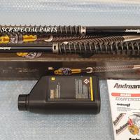 Harley davidson sportster cartucce andreani misano