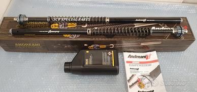 Harley davidson sportster cartucce andreani misano