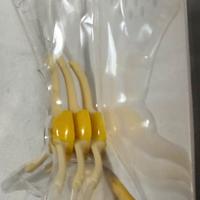 iRobot Kit filtri e spazzole laterali Roomba 500