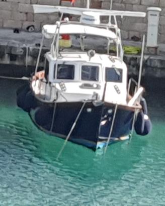 GOZZO SCIALLINO 25 anno 1990