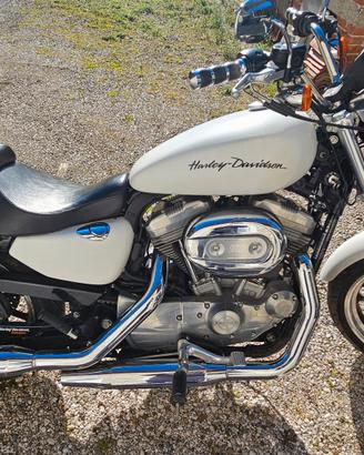 Harley Davidson XL883L