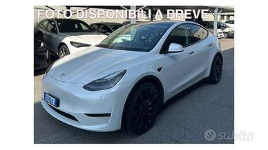 TESLA Model Y AWD Performance