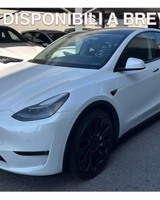 TESLA Model Y AWD Performance