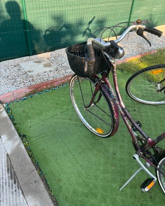 Bici donna