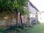 Immagine 19
