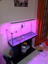 Acquario con mobile, led, filtro e accessori.