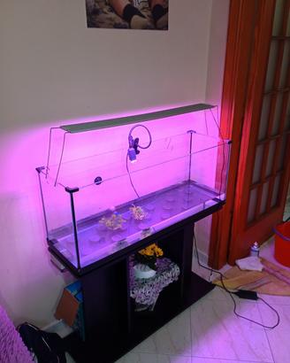 Acquario con mobile, led, filtro e accessori.