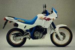 Honda NX 650 Dominator