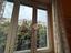 Immagine 19