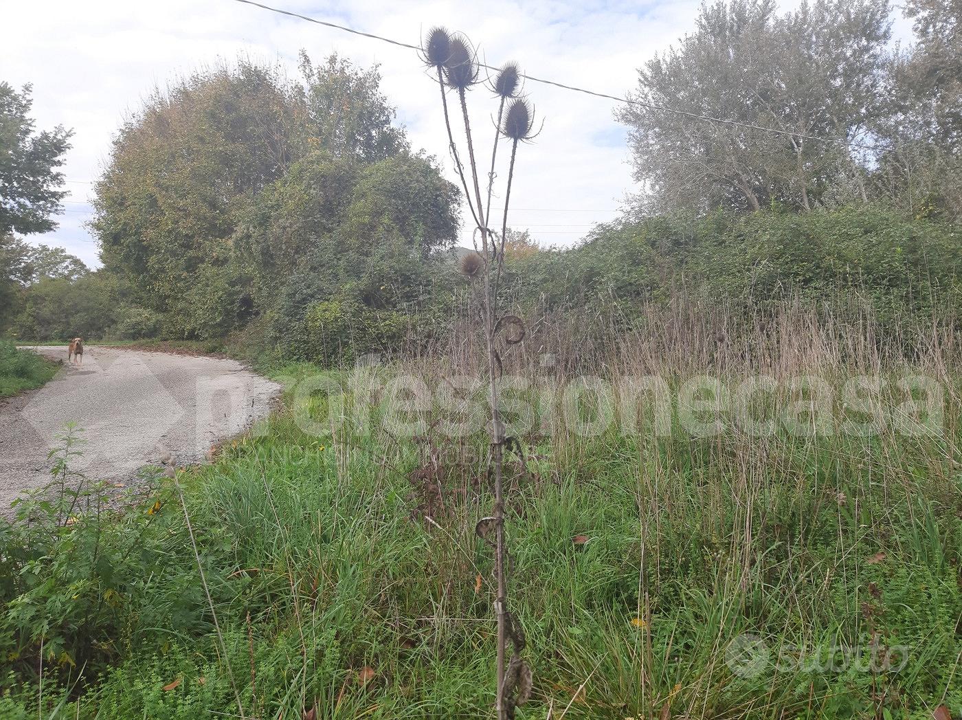 Rustico/Casale/Corte San Pietro Avellana [3824VRG] - Vista 3
