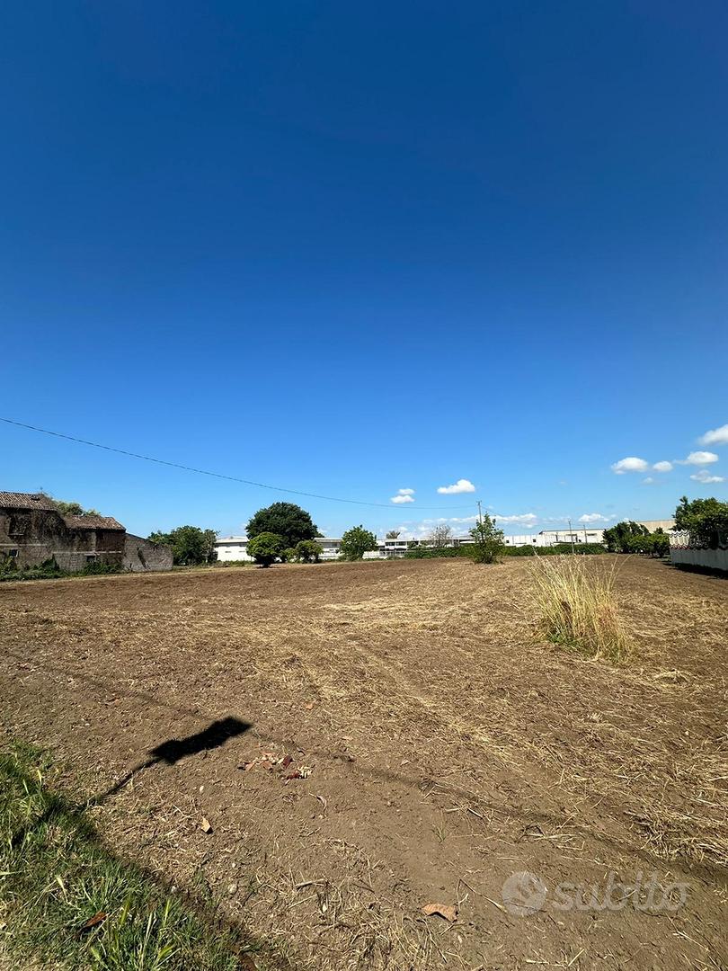 Vendessi terreno Vitulazio - Vista 5