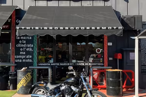 Harley-davidson Softail Standard