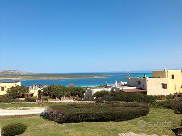 Monolocale vista mare alla Pelosa La Pergola 711