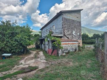 N. 2 fabbricati su terreno con vigna ca. 8.500 mq
