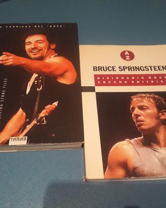 libri Bruce Springsteen usati