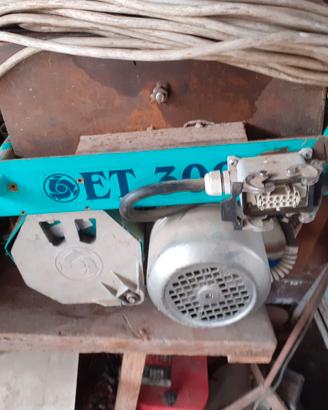 elevatore a carrello (paranco )