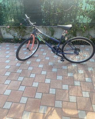 Mountain Bike Bianchi Thunder